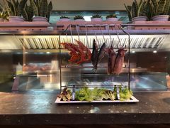 -BLU 全日制餐厅(上海安曼纳卓悦酒店)