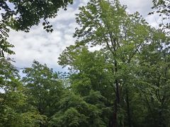 -香炉山国家森林公园