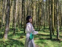 -石棉县孟获城