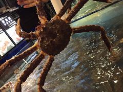 -蟹之国·精品蟹料理(极地店)