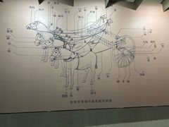 -晋国博物馆