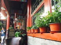 -百好乐宠物友好餐厅(朝外大街店)