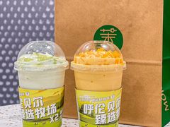 -茉酸奶(春熙路店)