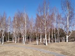 -长春公园(普阳街道)