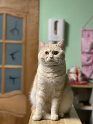 -齐伽生活馆·瑜伽·普拉提·阿育吠陀