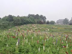 -保利石象湖景区