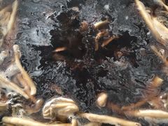 菌汤锅底-海底捞火锅(河东万达广场店)