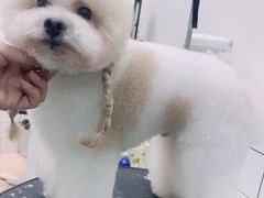 -味多美蛋糕(旧头路店)