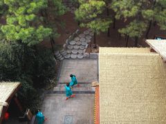 -东海森林温泉度假酒店