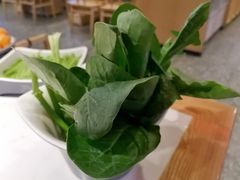 -井格重庆火锅(友谊路新业广场店)