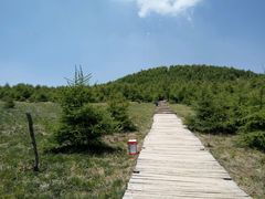 -红崖峡谷景区