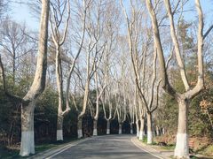 -WeLope紫金山探险公园