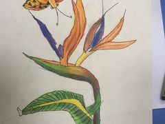 -东方童画少儿美术(莘庄体验馆)