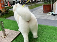 -暖阳宠物医院·犬猫康复中心·骨科