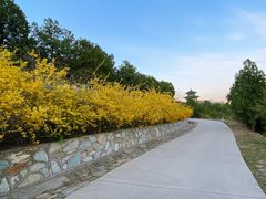 -北京西山国家森林公园