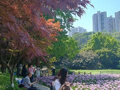 -龙头寺公园