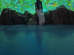 -芜湖新华联大白鲸海洋公园