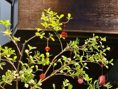 -煜丰汴京烤鸭(福彩路店)