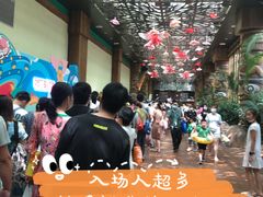 -杭州开元森泊度假乐园