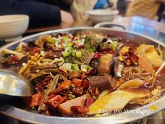 古镇鸡杂毛血旺鸳鸯锅-胖娃古镇鸡杂(磁器口总店)