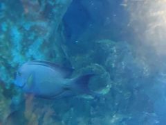 -乐从天佑城海洋馆