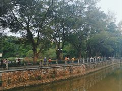 -晓港公园