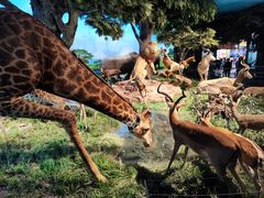 -国家自然博物馆