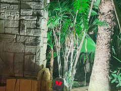 -郑州银基黄帝宫御温泉