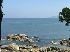 -养马岛旅游度假区