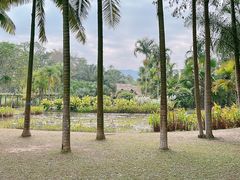 -中国科学院西双版纳热带植物园