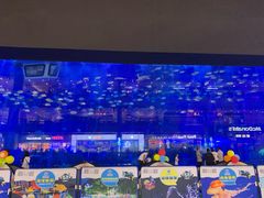 -成都浩海立方海洋公园