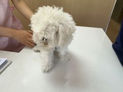 -美迦爱-牙专科·兔科·骨科诊疗中心(北苑店)