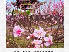 -桃花岛风景旅游区