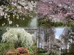 -上海植物园-4号门售票处