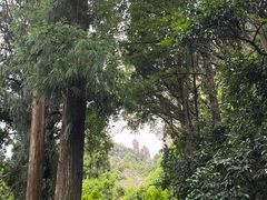 -雁荡山风景名胜区