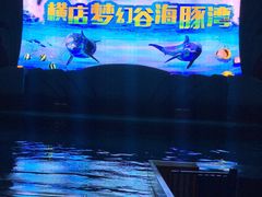 -横店影视城梦幻谷园区