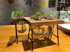 -ZING COFFEE 镜咖啡