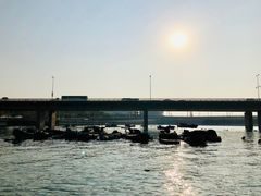 -海堤纪念公园