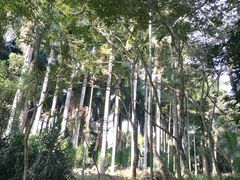 -沙美村