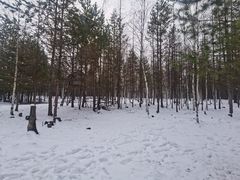 -北极村旅游风景区