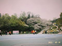 -杭州少年儿童公园