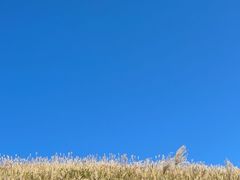 -萍乡武功山风景名胜区