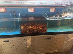 -鼎原力量东北吊炉烧烤(幸福街店)