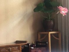 -菩提慧宾养生堂(梦幻亮点世界公园店)