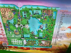 -上海都市菜园