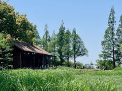 -良渚古城遗址公园