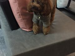 -CIAO·团建聚餐·生日派对轰趴馆(福田店)