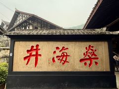 -燊海井