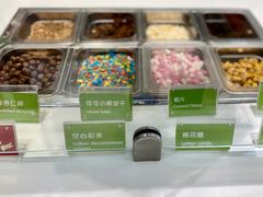 -Salud撒露欧洲冻酸奶(蓝色港湾店)