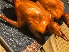 -大鸽饭(岗顶店)